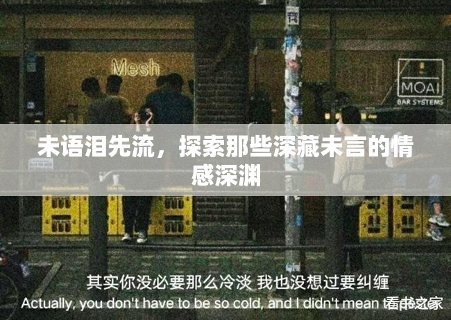 未語淚先流，探索那些深藏未言的情感深淵