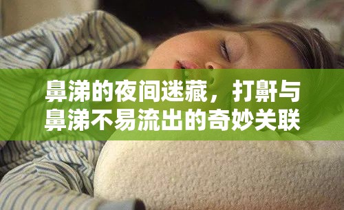 鼻涕的夜間迷藏，打鼾與鼻涕不易流出的奇妙關(guān)聯(lián)