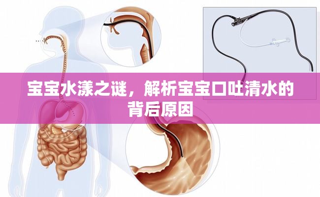 寶寶水漾之謎，解析寶寶口吐清水的背后原因