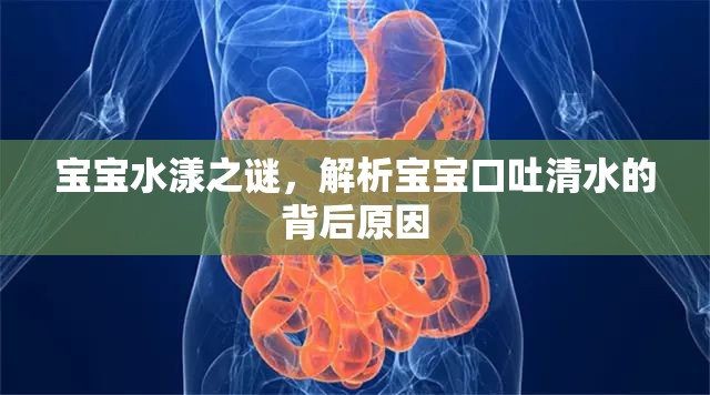 寶寶水漾之謎，解析寶寶口吐清水的背后原因