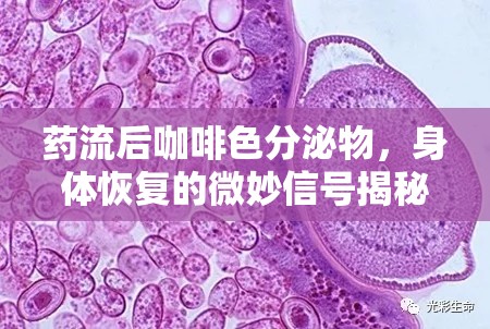 藥流后咖啡色分泌物，身體恢復(fù)的微妙信號(hào)揭秘