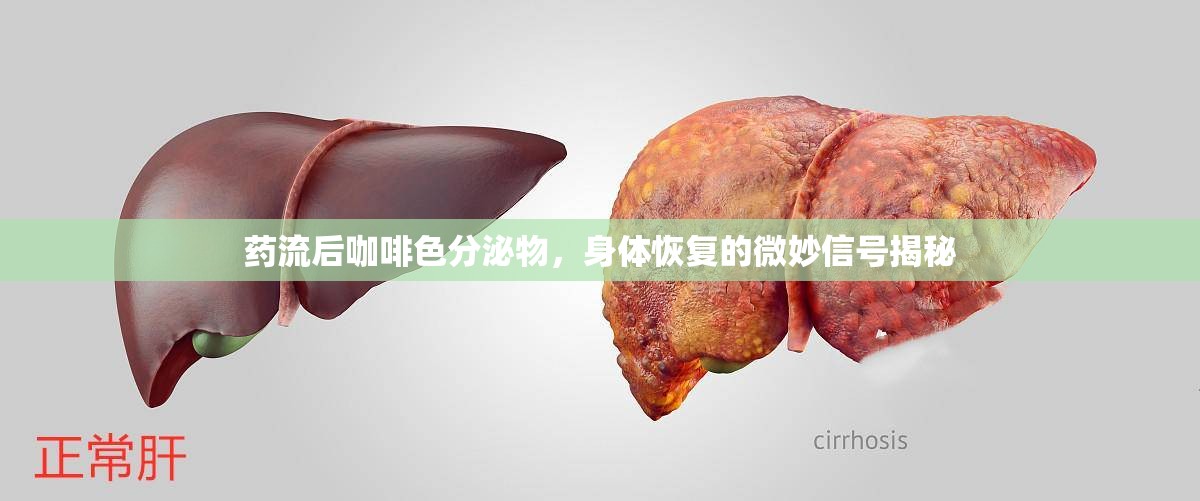 藥流后咖啡色分泌物，身體恢復(fù)的微妙信號(hào)揭秘