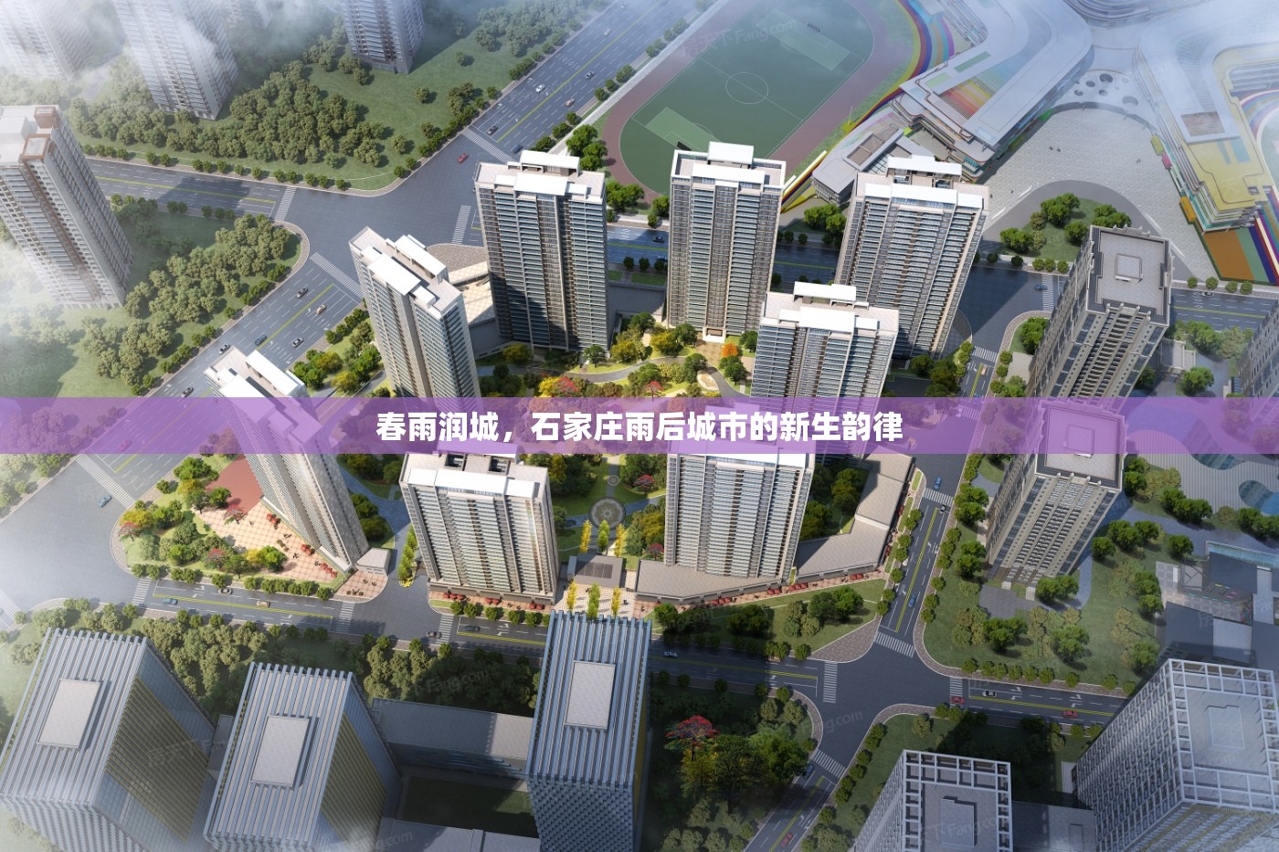 春雨潤城，石家莊雨后城市的新生韻律