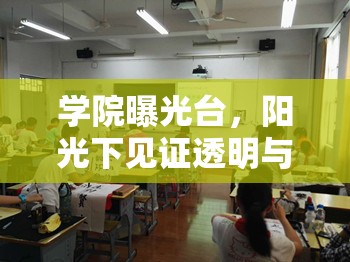 學(xué)院曝光臺，陽光下見證透明與成長
