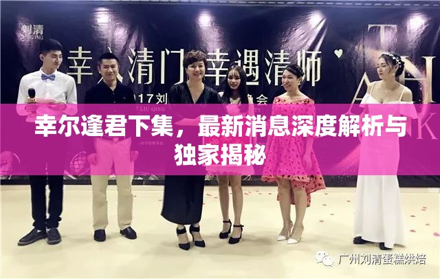 幸爾逢君下集，最新消息深度解析與獨(dú)家揭秘