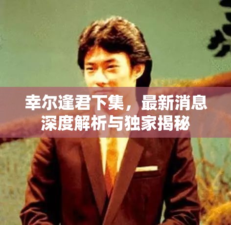 幸爾逢君下集，最新消息深度解析與獨(dú)家揭秘