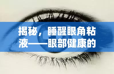 揭秘，睡醒眼角粘液——眼部健康的隱形信號(hào)