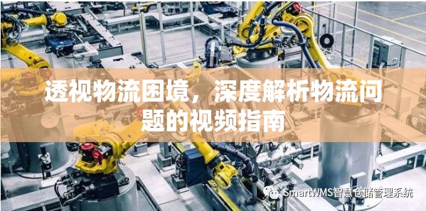 透視物流困境，深度解析物流問題的視頻指南