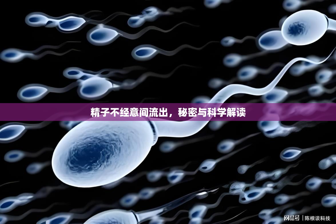 精子不經(jīng)意間流出，秘密與科學(xué)解讀