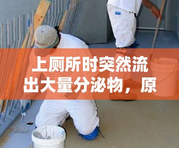 上廁所時(shí)突然流出大量分泌物，原因解析、應(yīng)對(duì)策略與預(yù)防措施