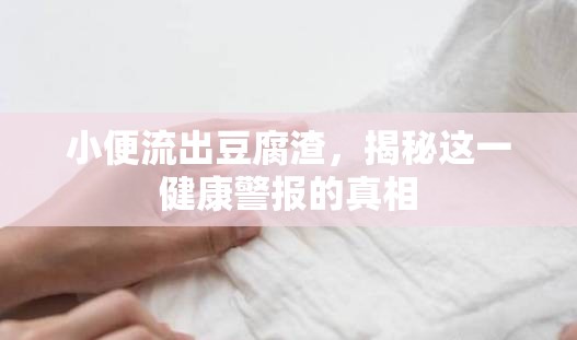 小便流出豆腐渣，揭秘這一健康警報(bào)的真相