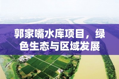 郭家嘴水庫(kù)項(xiàng)目，綠色生態(tài)與區(qū)域發(fā)展的雙贏之路最新進(jìn)展