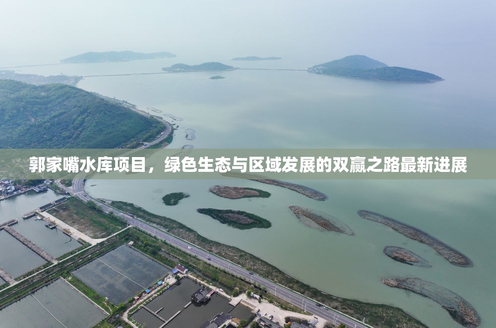 郭家嘴水庫(kù)項(xiàng)目，綠色生態(tài)與區(qū)域發(fā)展的雙贏之路最新進(jìn)展