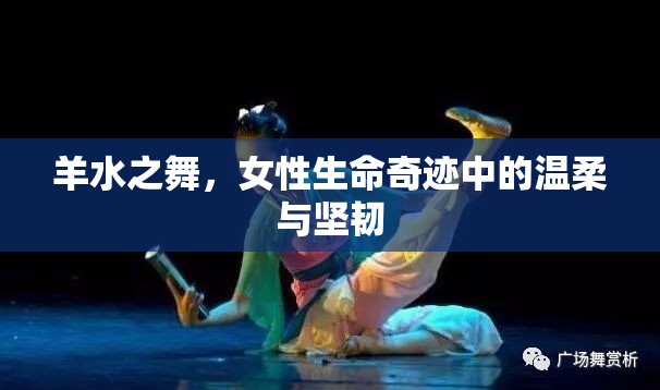 羊水之舞，女性生命奇跡中的溫柔與堅韌