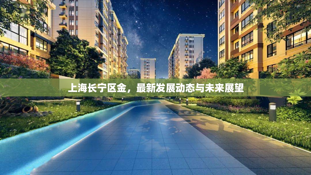 上海長寧區(qū)金，最新發(fā)展動態(tài)與未來展望