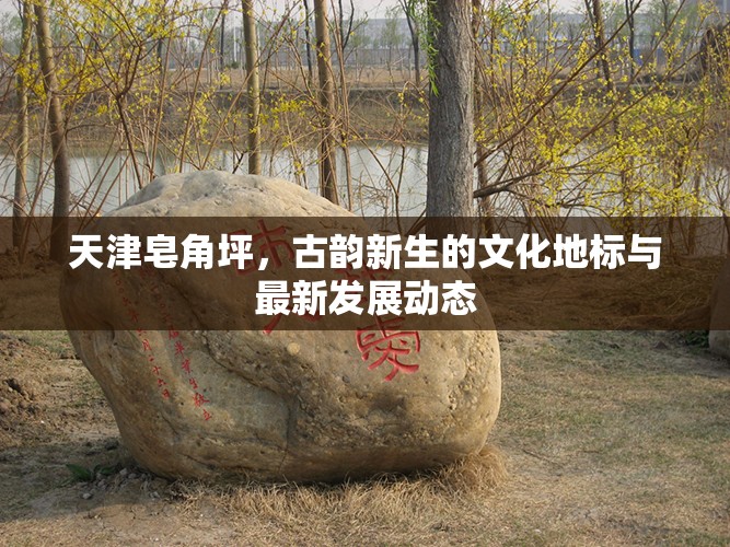 天津皂角坪，古韻新生的文化地標(biāo)與最新發(fā)展動(dòng)態(tài)