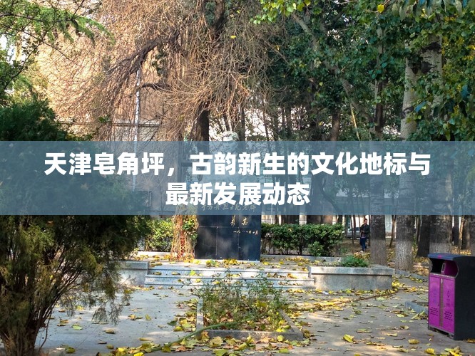 天津皂角坪，古韻新生的文化地標(biāo)與最新發(fā)展動(dòng)態(tài)