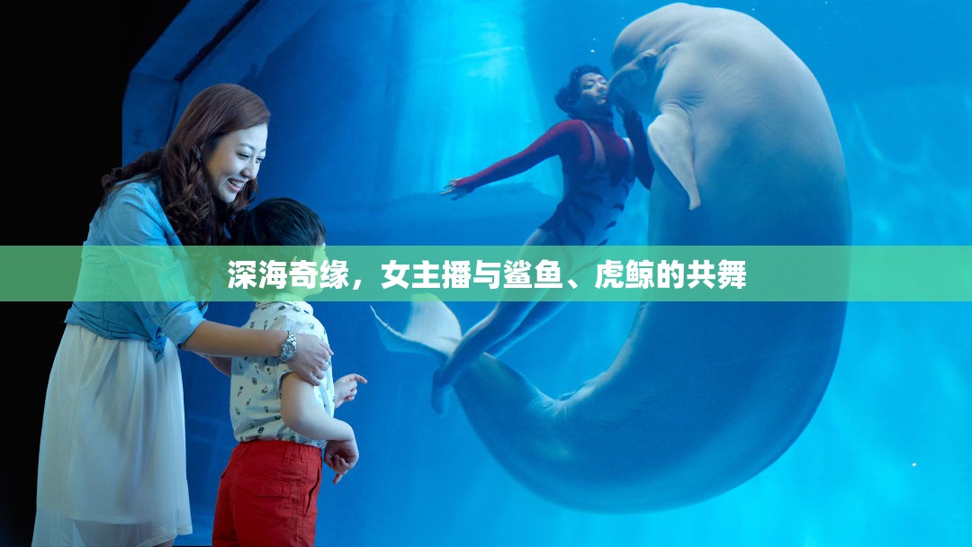 深海奇緣，女主播與鯊魚、虎鯨的共舞