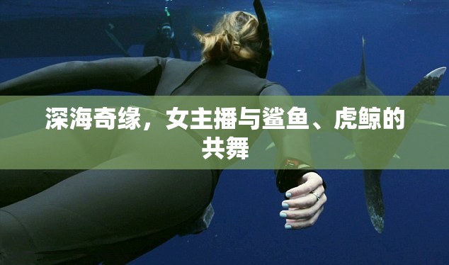 深海奇緣，女主播與鯊魚、虎鯨的共舞
