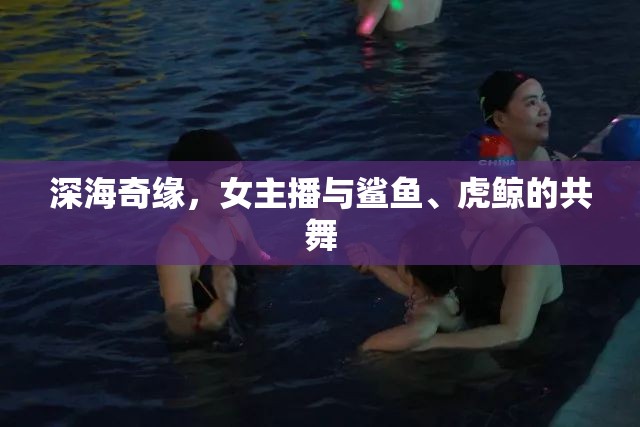 深海奇緣，女主播與鯊魚、虎鯨的共舞