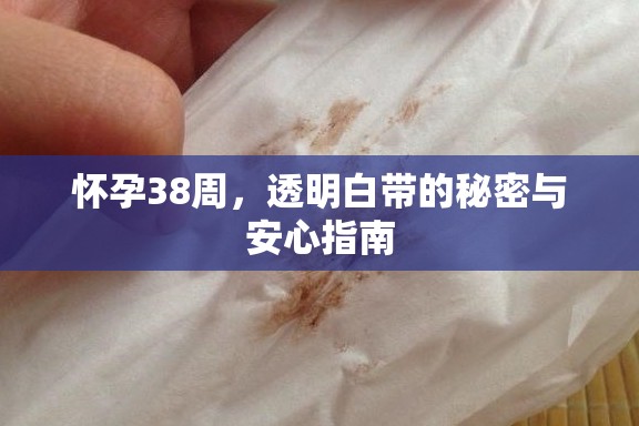 懷孕38周，透明白帶的秘密與安心指南