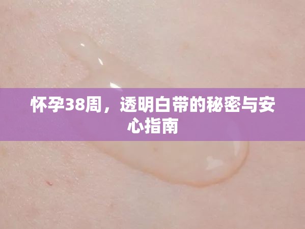 懷孕38周，透明白帶的秘密與安心指南