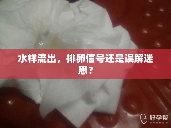 水樣流出，排卵信號還是誤解迷思？