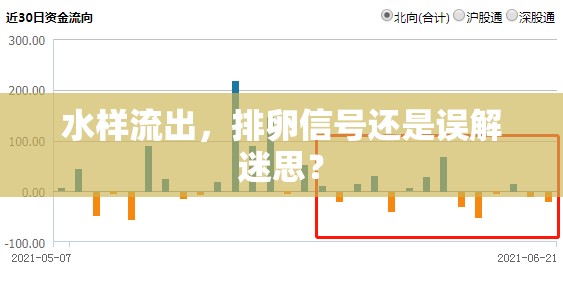 水樣流出，排卵信號還是誤解迷思？