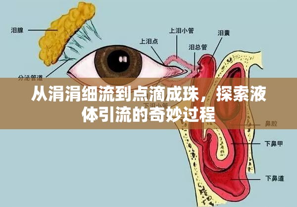 從涓涓細(xì)流到點(diǎn)滴成珠，探索液體引流的奇妙過(guò)程