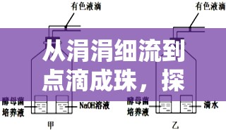 從涓涓細(xì)流到點(diǎn)滴成珠，探索液體引流的奇妙過(guò)程