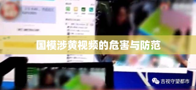 國模涉黃視頻的危害與防范