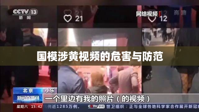 國模涉黃視頻的危害與防范