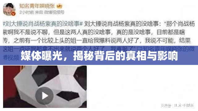 媒體曝光，揭秘背后的真相與影響