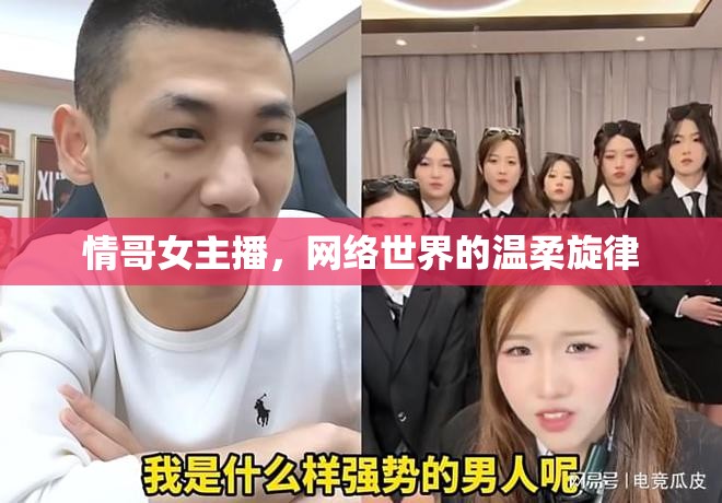 情哥女主播，網(wǎng)絡(luò)世界的溫柔旋律