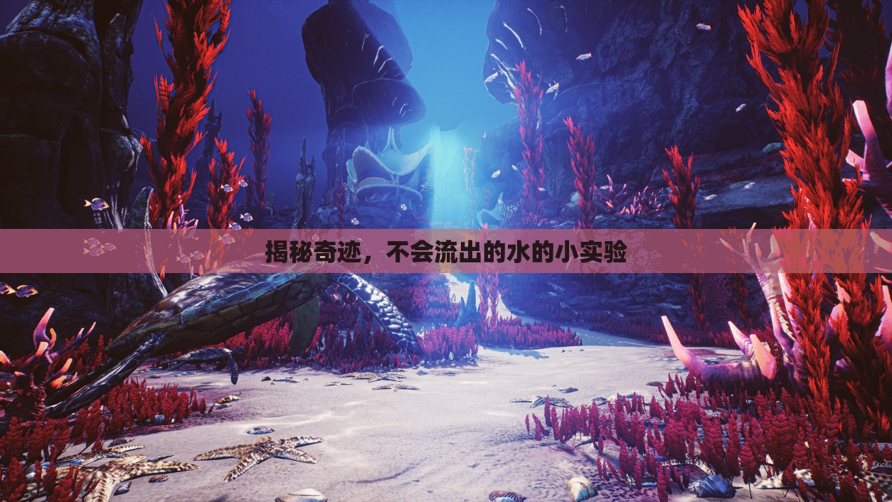 揭秘奇跡，不會流出的水的小實驗