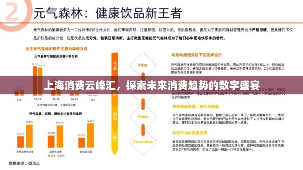 上海消費云峰匯，探索未來消費趨勢的數字盛宴