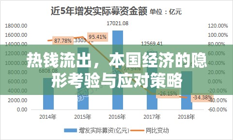 熱錢(qián)流出，本國(guó)經(jīng)濟(jì)的隱形考驗(yàn)與應(yīng)對(duì)策略