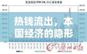 熱錢(qián)流出，本國(guó)經(jīng)濟(jì)的隱形考驗(yàn)與應(yīng)對(duì)策略