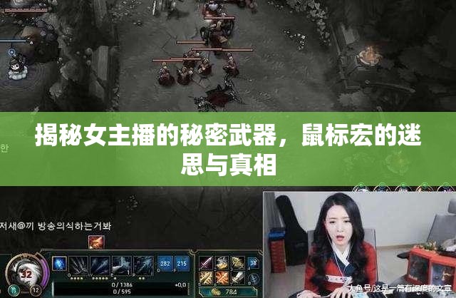 揭秘女主播的秘密武器，鼠標(biāo)宏的迷思與真相