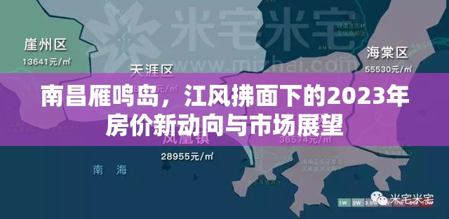 南昌雁鳴島，江風拂面下的2023年房價新動向與市場展望