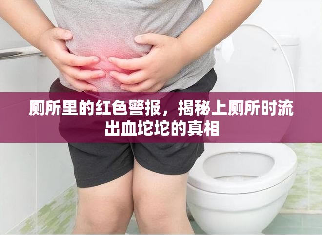 廁所里的紅色警報(bào)，揭秘上廁所時(shí)流出血坨坨的真相