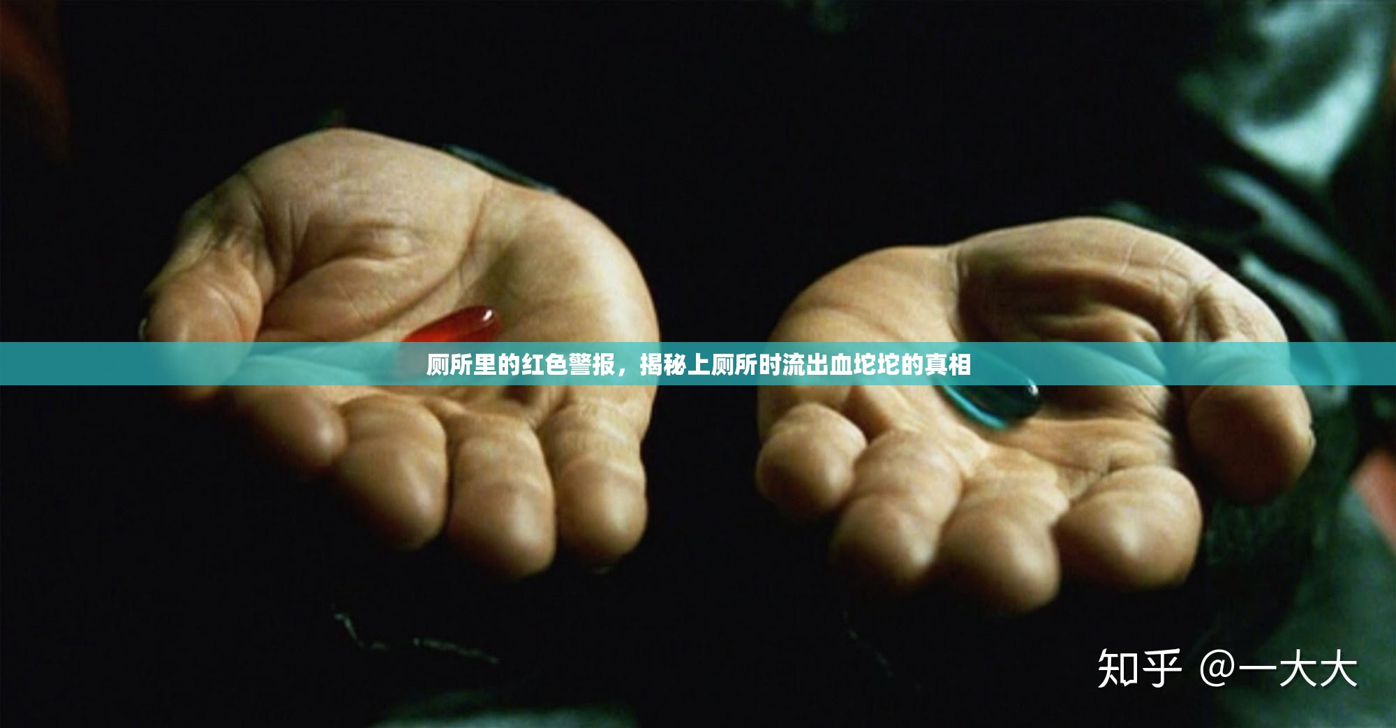 廁所里的紅色警報(bào)，揭秘上廁所時(shí)流出血坨坨的真相