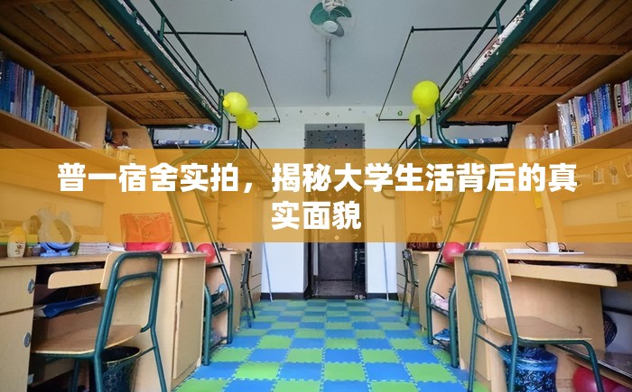 普一宿舍實(shí)拍，揭秘大學(xué)生活背后的真實(shí)面貌
