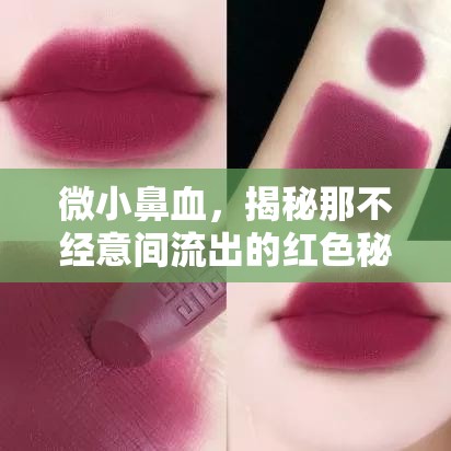 微小鼻血，揭秘那不經(jīng)意間流出的紅色秘密