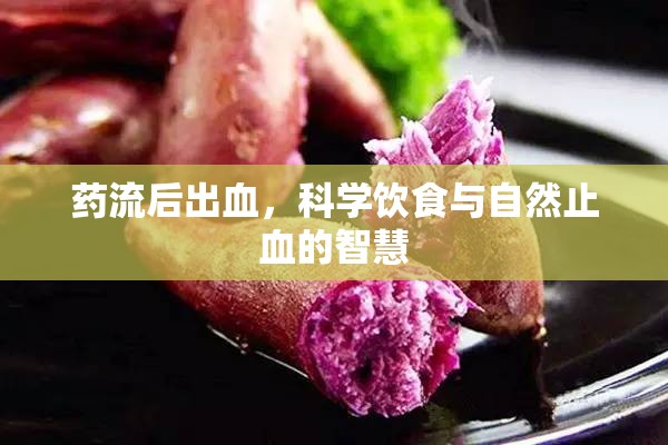 藥流后出血，科學(xué)飲食與自然止血的智慧
