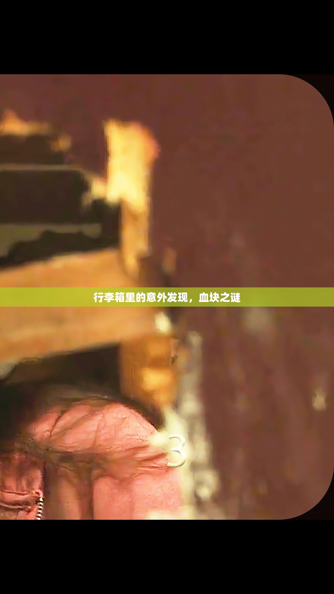 行李箱里的意外發(fā)現(xiàn)，血塊之謎