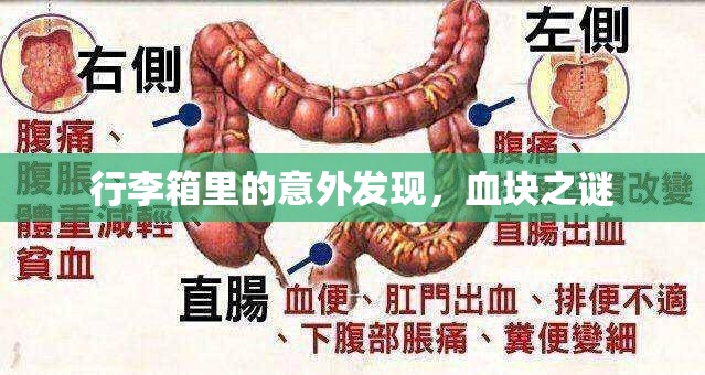 行李箱里的意外發(fā)現(xiàn)，血塊之謎
