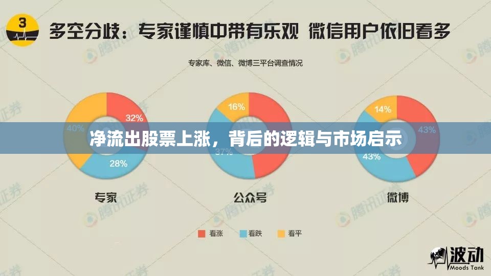 凈流出股票上漲，背后的邏輯與市場啟示