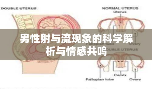 男性射與流現(xiàn)象的科學(xué)解析與情感共鳴