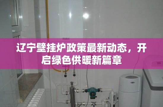 遼寧壁掛爐政策最新動態(tài)，開啟綠色供暖新篇章